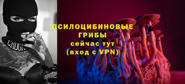 МДПВ Володарск