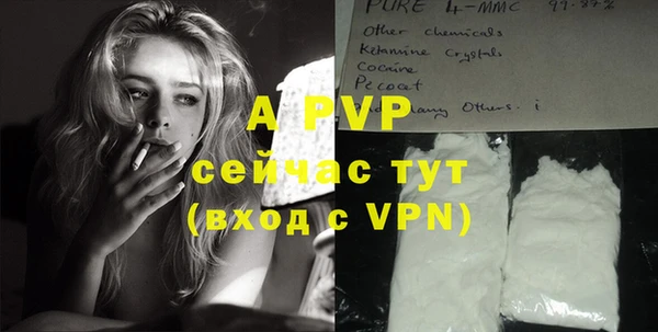 крисы Вяземский