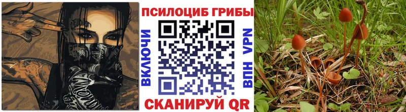 Псилоцибиновые грибы мухоморы  Новошахтинск 